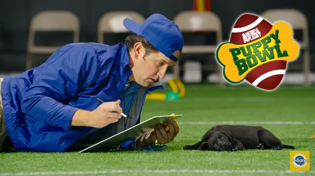 James Moye on the Puppy Bowl